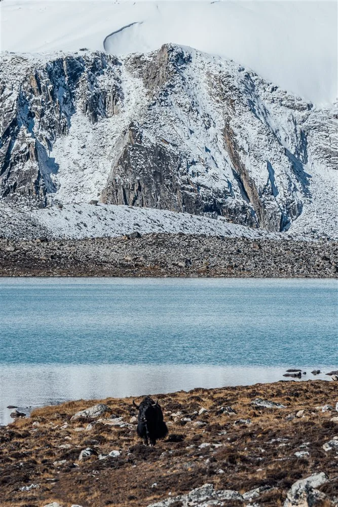 Jomolhari Loop Trek