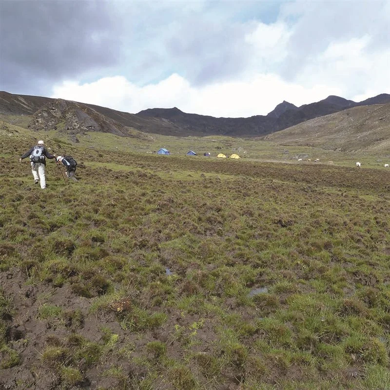 Jomolhari Lingzhi Trek