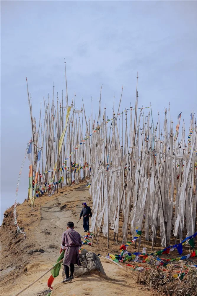 Sagala Trek
