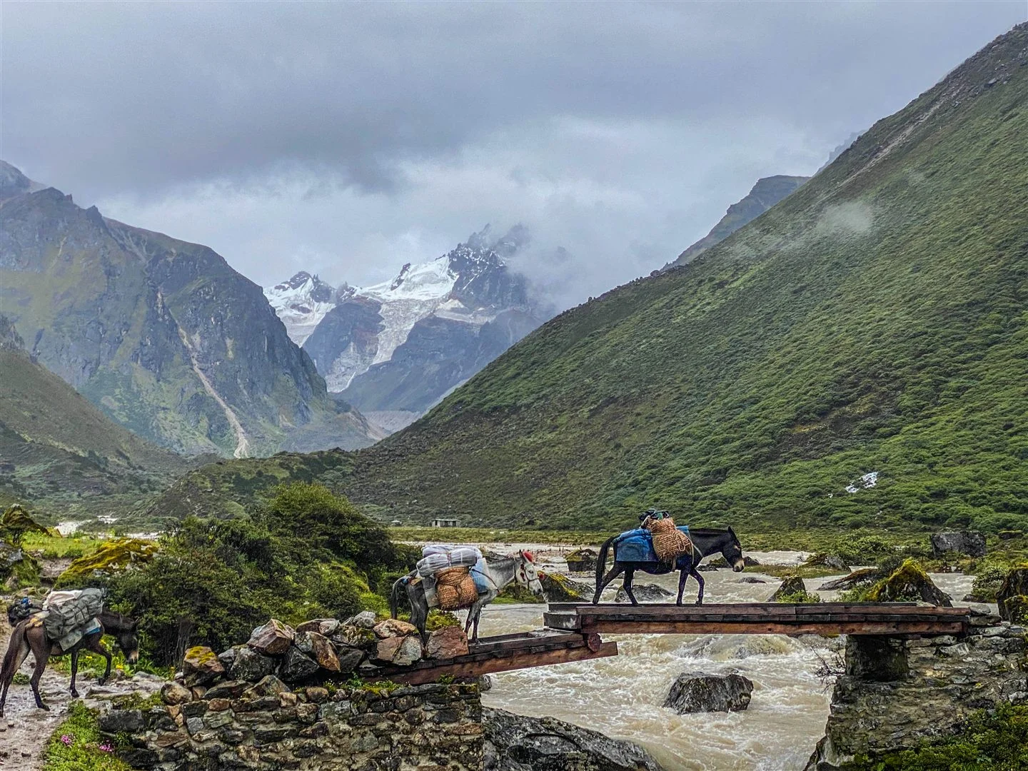 Jomolhari Loop Trek