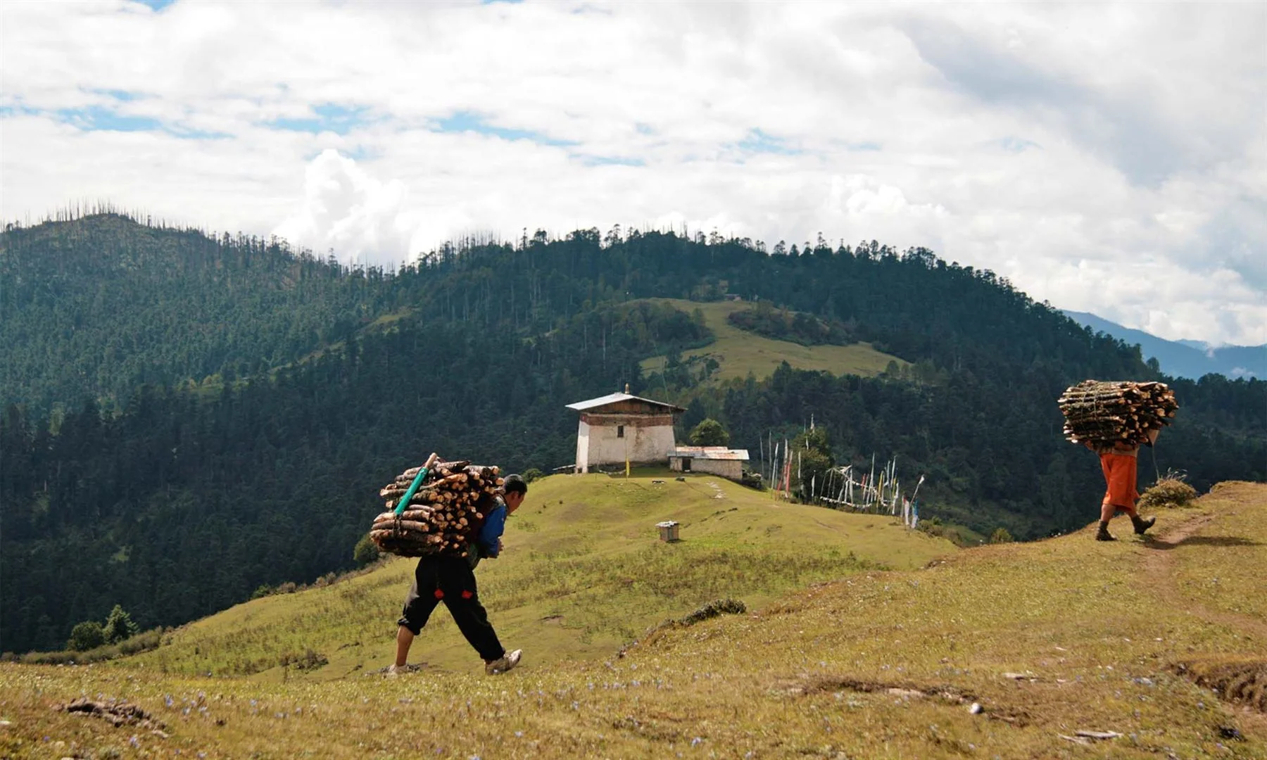 Druk Path Trek
