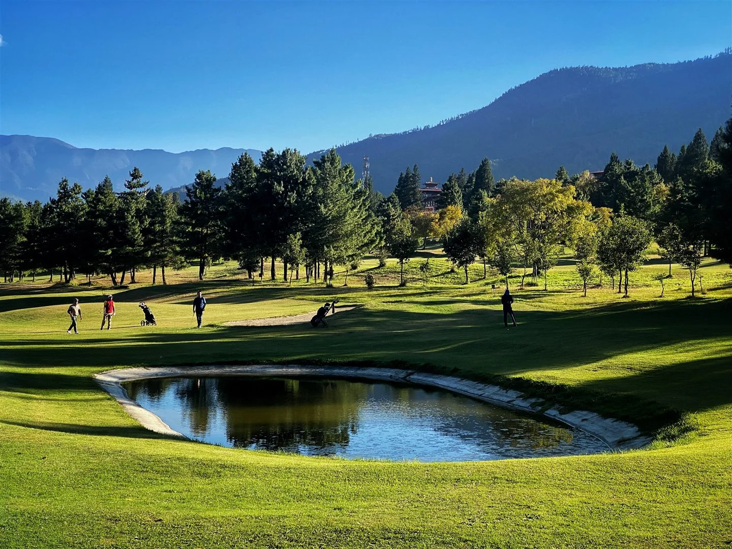 Golf Tour