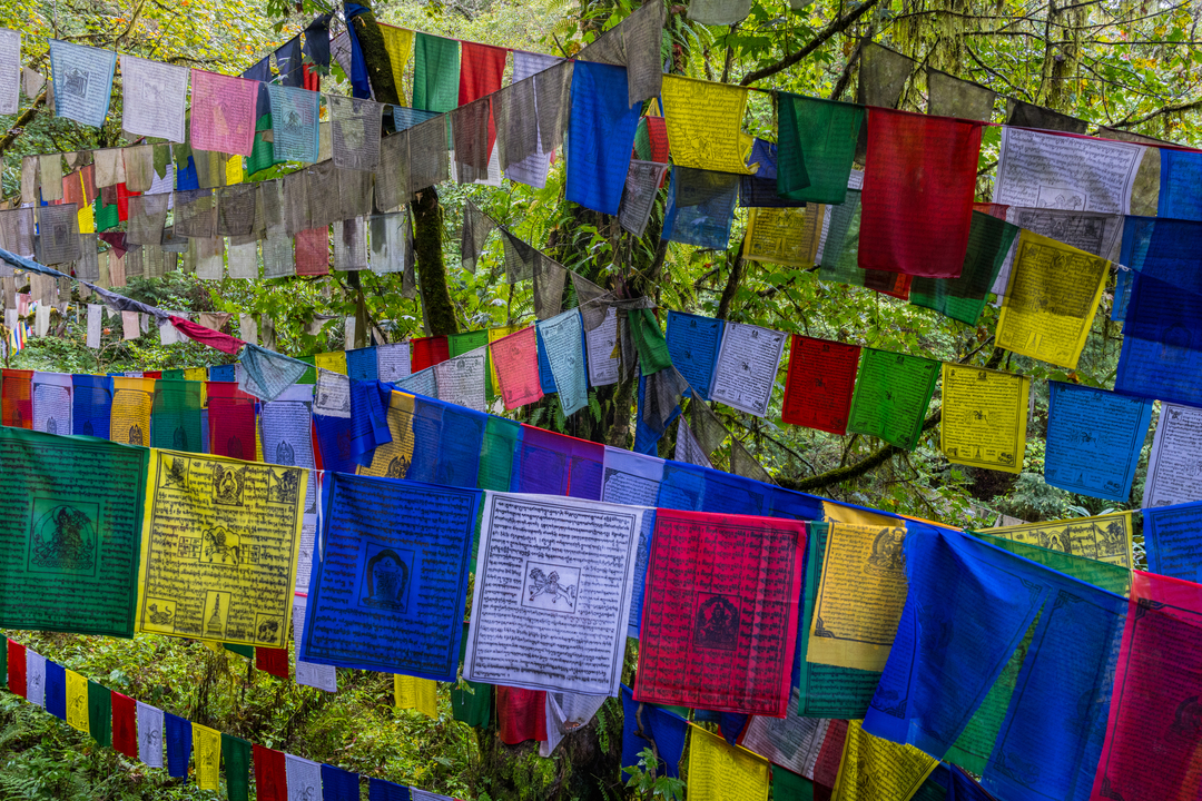 Hotels in Bhutan