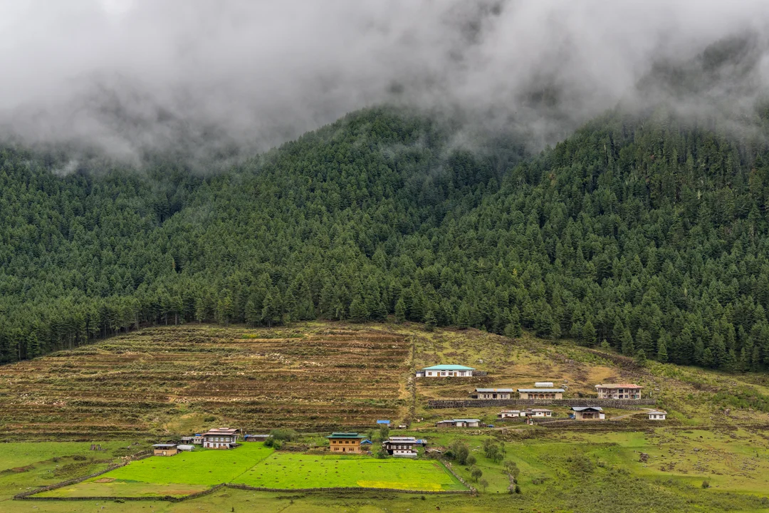 Bhutan Valley